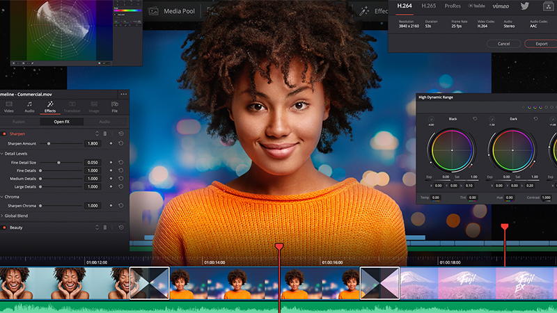 Blackmagic Design DaVinci Resolve Studio 17 - Image & Audio